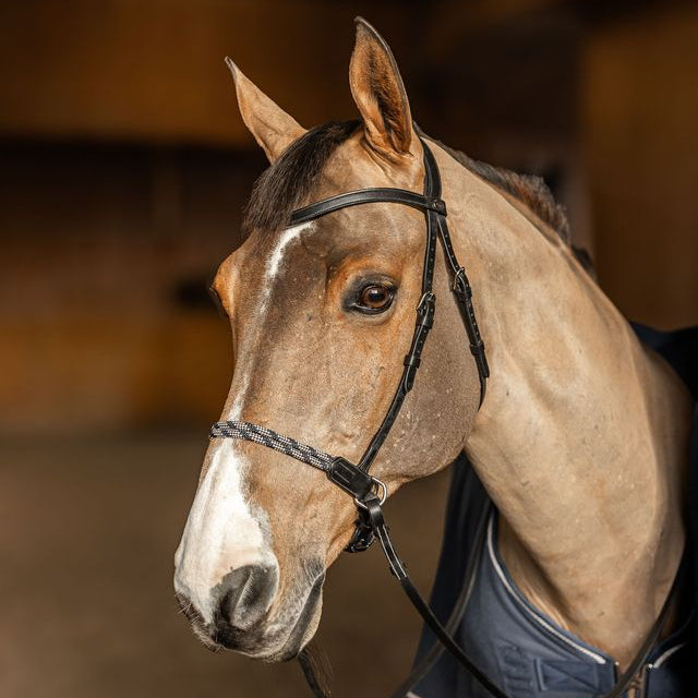 HFI Bitless Bridle Freedom Black