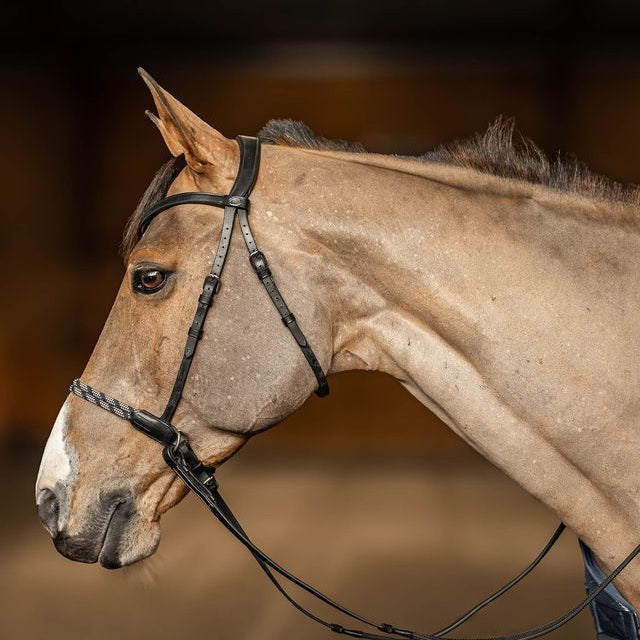 HFI Bitless Bridle Freedom Brown