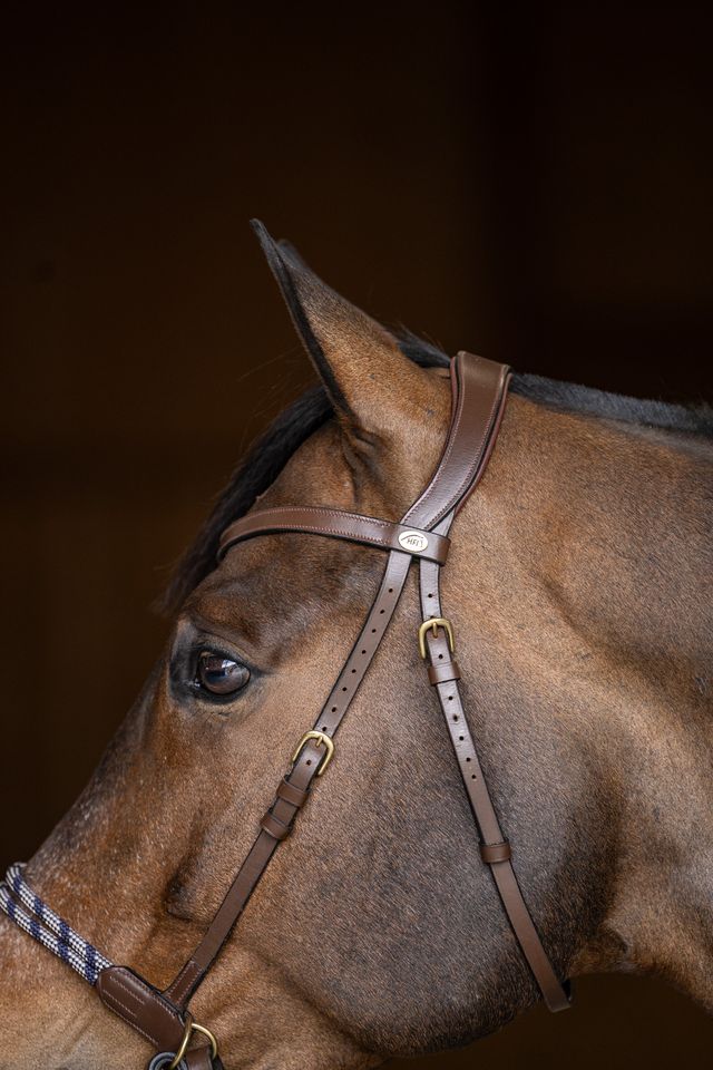 Anatomical bitless bridle comfort 