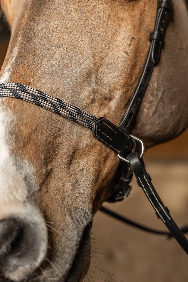 Best bitless bridle for horses