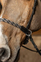 Best bitless bridle for horses