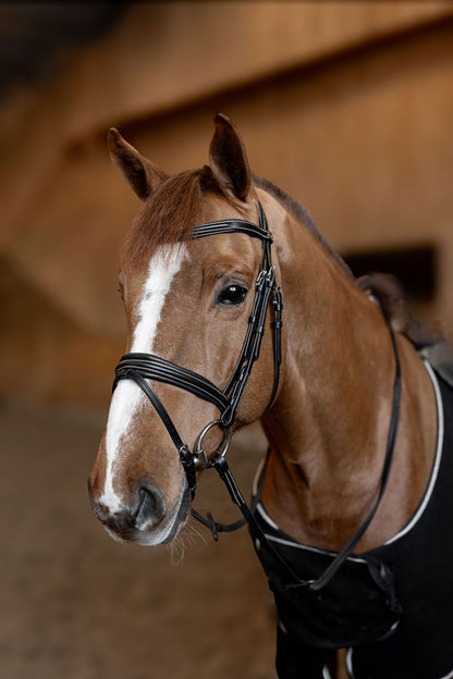 HFI Bridle Padded Black