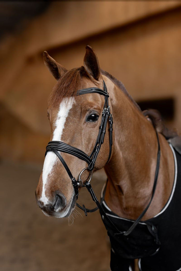 HFI Bridle Padded Black