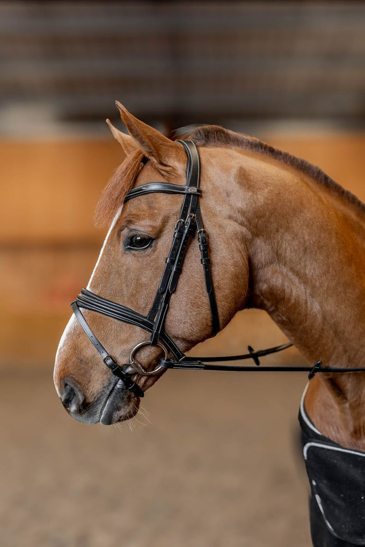 Black Padded flash noseband bridle