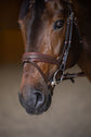Padded anatomical bridle in brown and tan