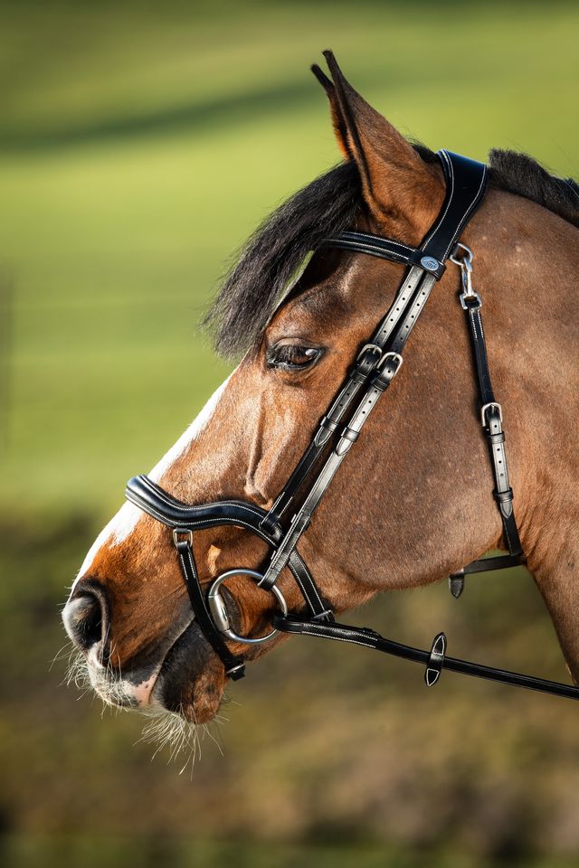HFI Bridle Techno Black