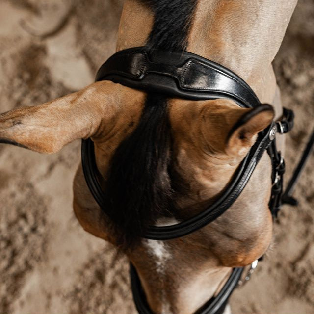 Anatomical Italian leather dressage bridle black