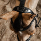 Anatomical Italian leather dressage bridle black