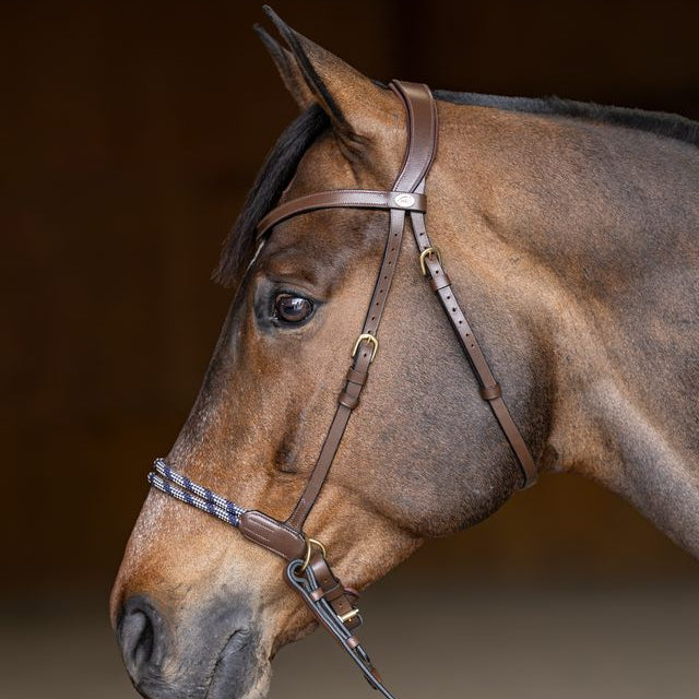 Anatomical bitless bridle brown