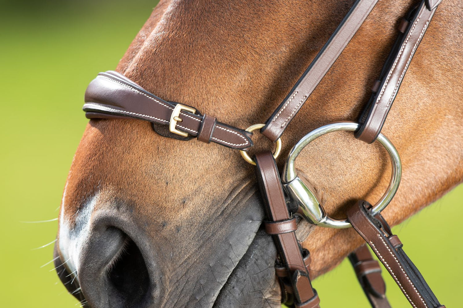 HFI Brown Drop Noseband Bridle 