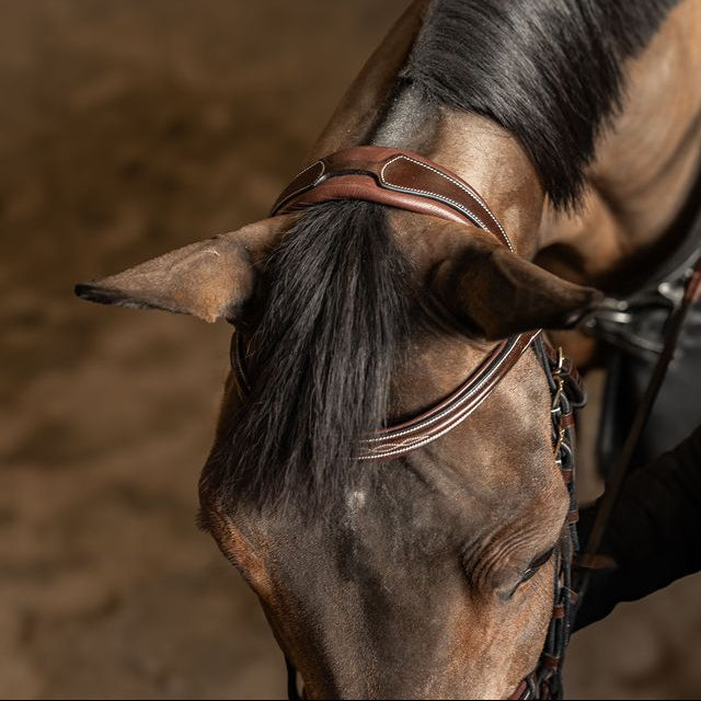 Anatomical bridle with comfort headpiece in brown