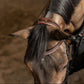 Anatomical bridle with comfort headpiece in brown