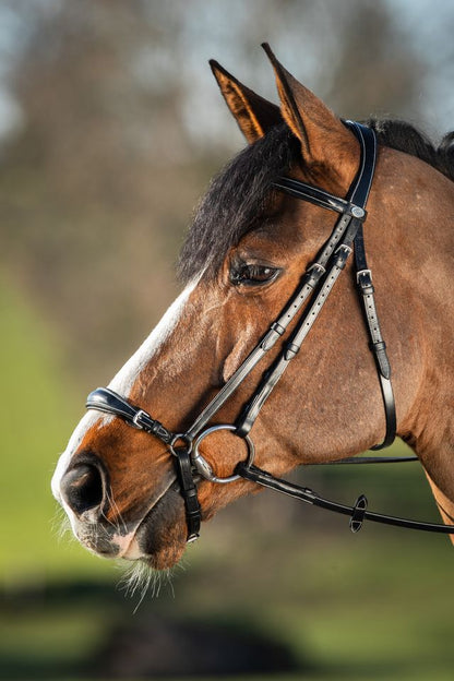HFI Drop Noseband bridle German