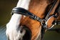 black Drop noseband bridle with cream stitching