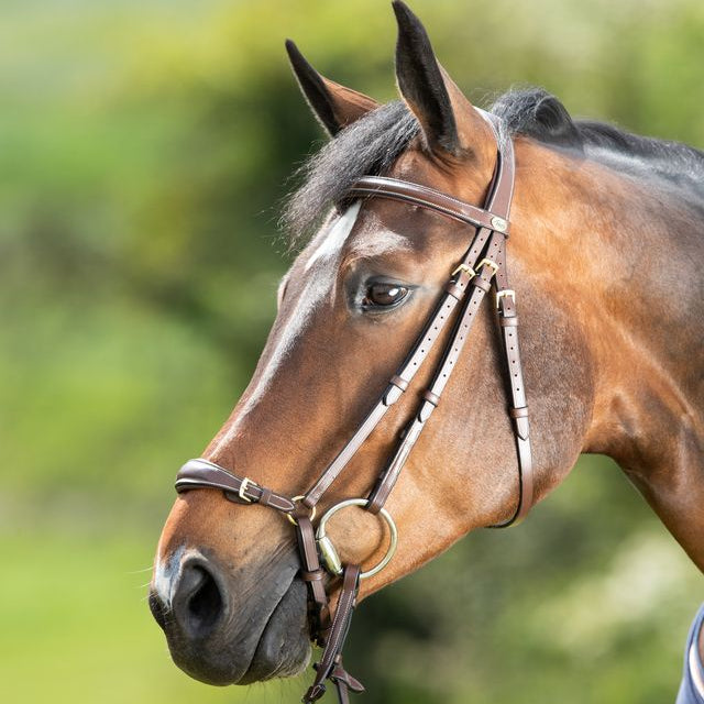 Brown Anatomic Drop Bridle