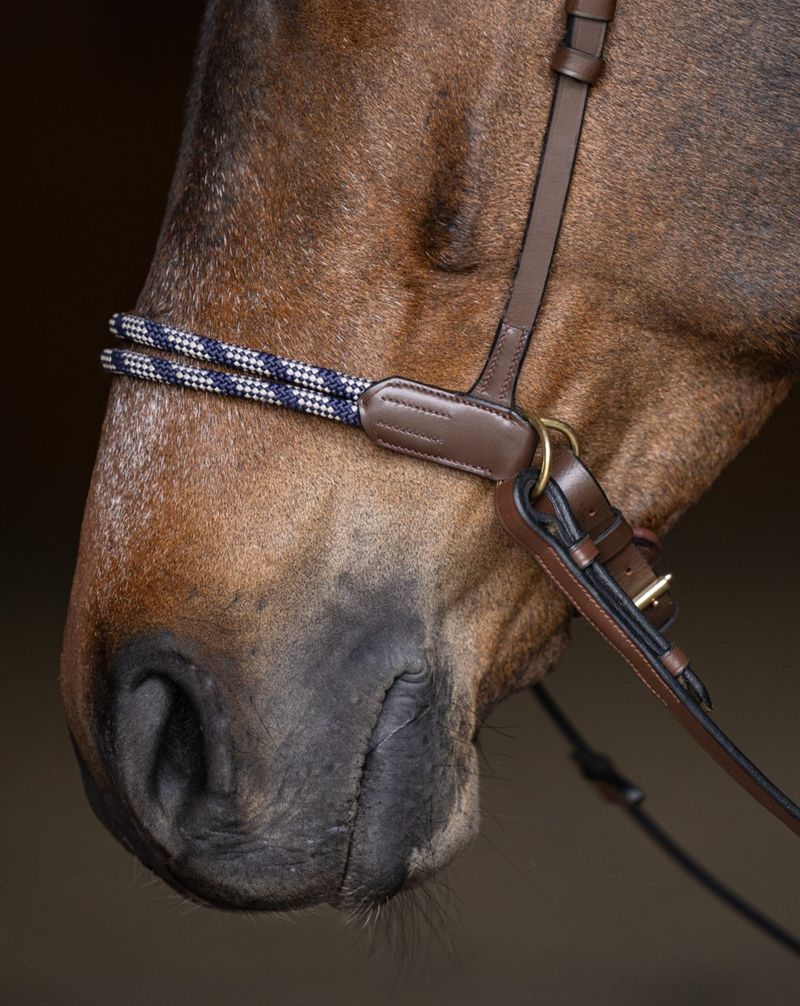 Brown Bitless Bridle for horses
