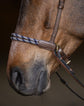 Brown Bitless Bridle for horses