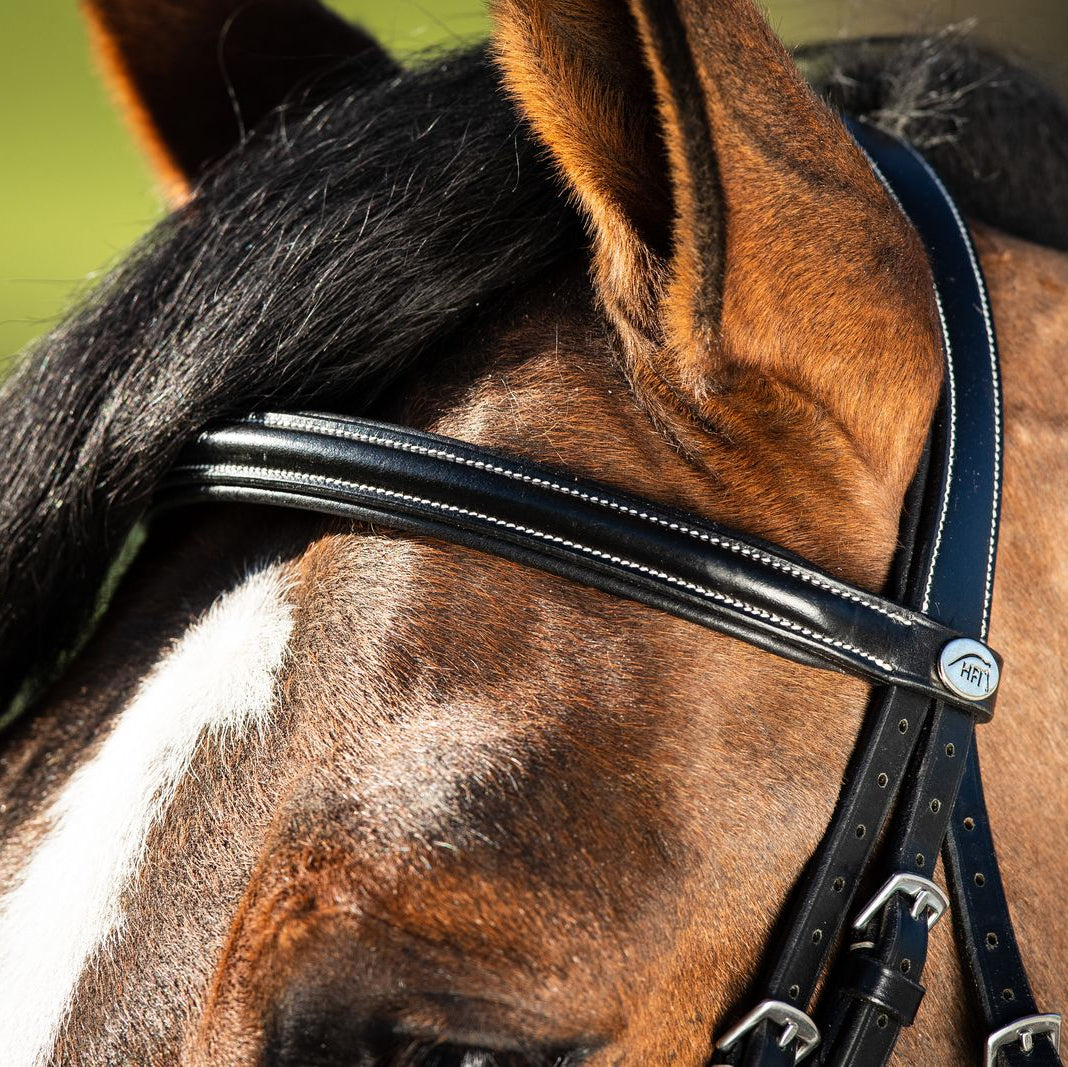 HFI Leather Bridle