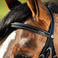 HFI Leather Bridle