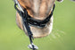 Leather drop noseband for horses 
