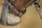 Brown Drop noseband bridle with cream stitching