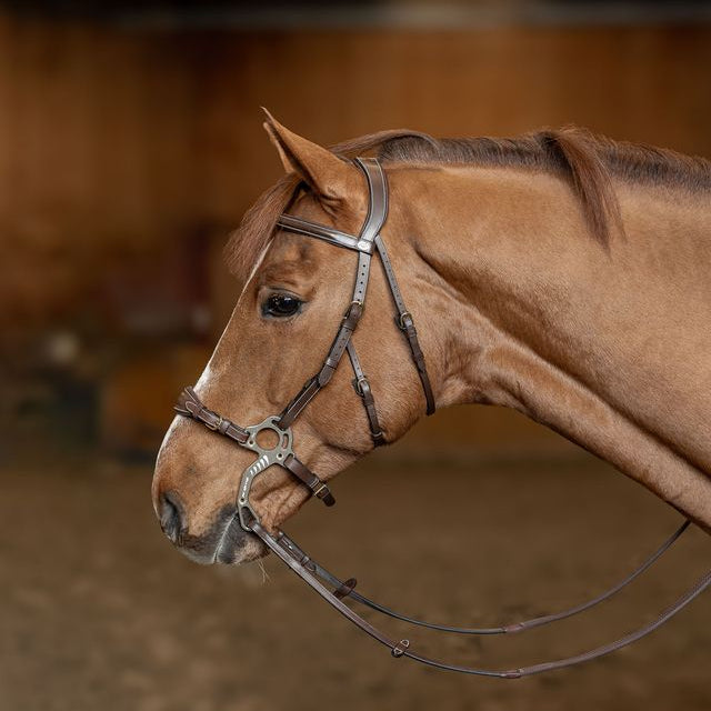 Hackamore bridle in brown cheap