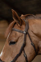 Affordable Hackamore bridle for horses