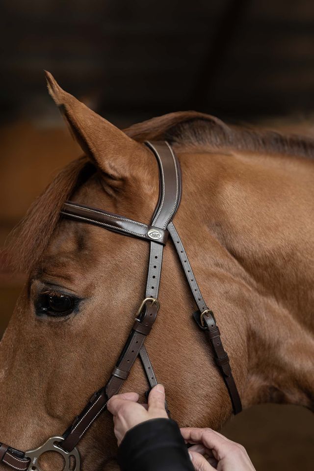 Double throatlatch hackamore bridle 