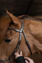 Double throatlatch hackamore bridle 