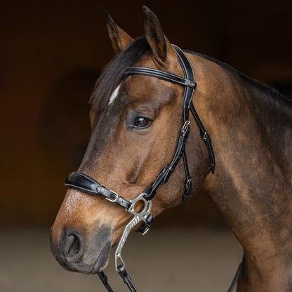 Anatomic hackamore bridle black