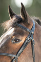 Figure 8 Noseband bridle with cream stitching