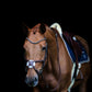 Fancy Mexican Noseband Bridle in Brown