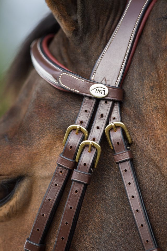 HFI Leather Bridles