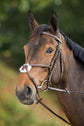 Anatomic Figure 8 noseband bridle in brown