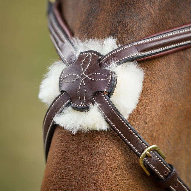 Mexican noseband with fancy stitch