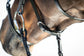 Anatomic figure 8 noseband bridle