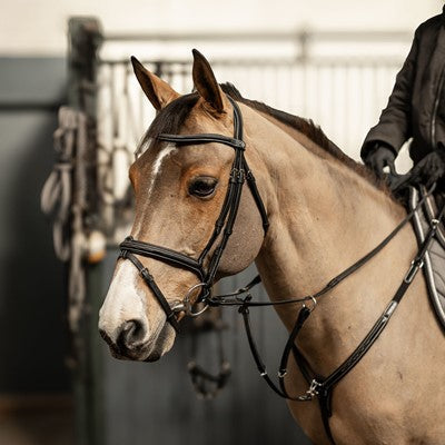 HFI Milano Anatomical Bridle Black
