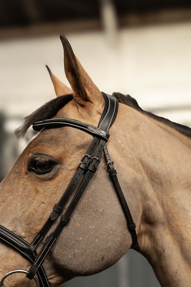HFI Milano Anatomical Bridle Black