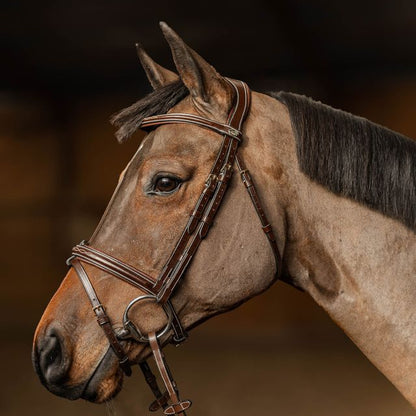 HFI Milano Anatomical Bridle in Brown