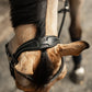 Bridle with anatomical headpiece