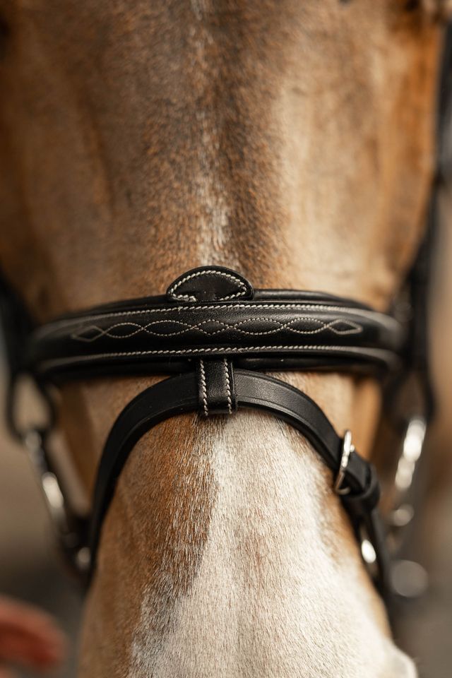 Removable flash noseband bridle with white stitching