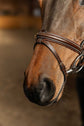 Anatomical bridle with fancy cream stitching 