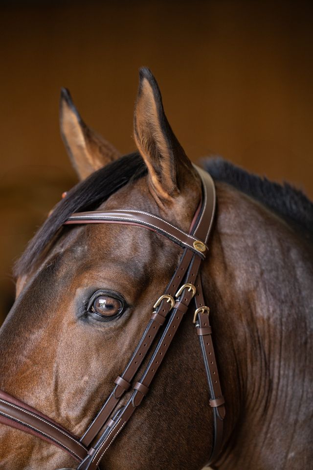 Brown anatomical flash noseband bridle for jumping
