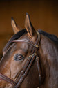 Brown anatomical flash noseband bridle for jumping