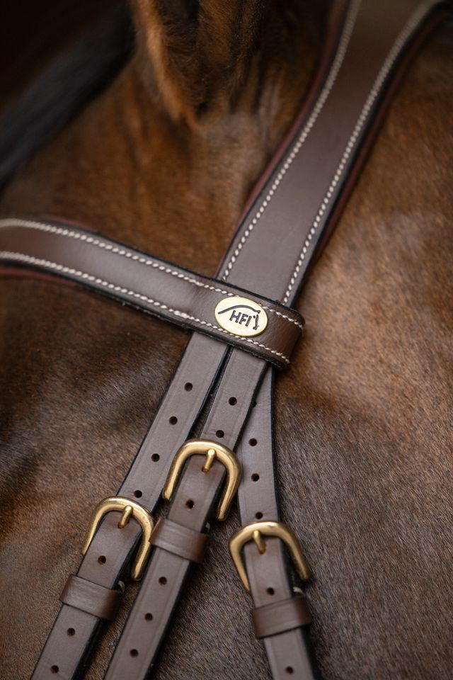 Close up of HFI Padded bridle anatomic headpiece