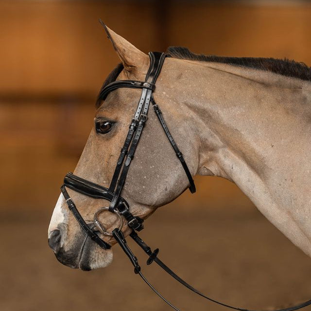 HFI Pro Line Bridle Verona Black