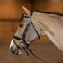 HFI Pro Line Bridle Verona Black