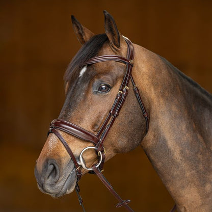 HFI Pro Line Bridle Verona Brown