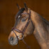 HFI Pro Line Bridle Verona Brown