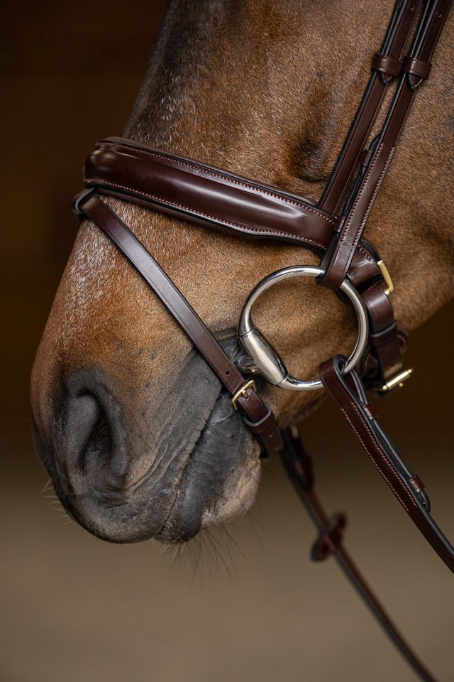 Brown high quality dressage bridle